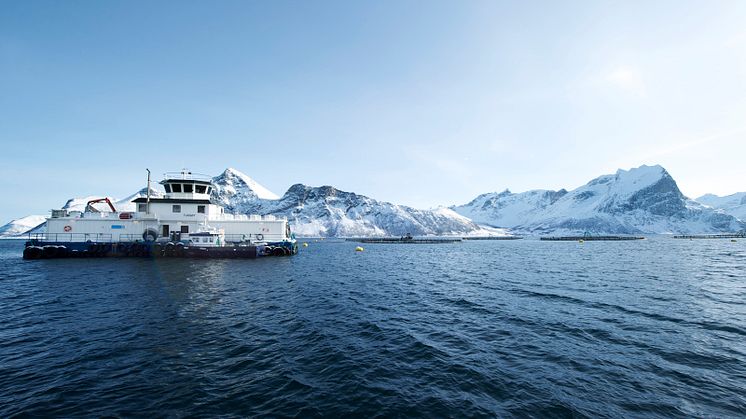 Feed barge at Norwegian salmon farm