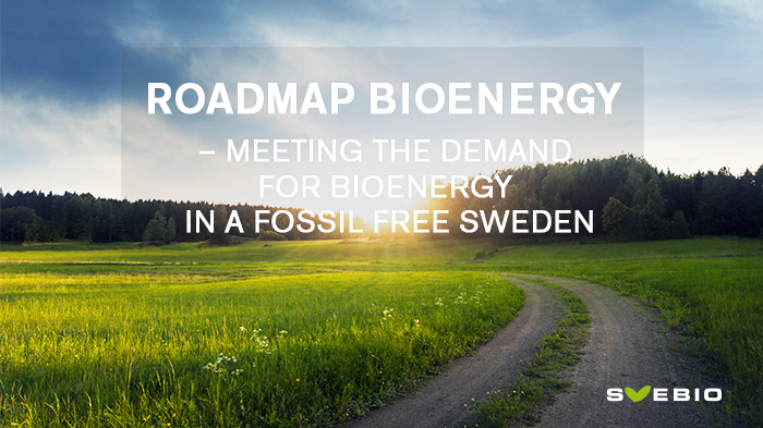 ​Roadmap Bioenergy identifies large Swedish potential