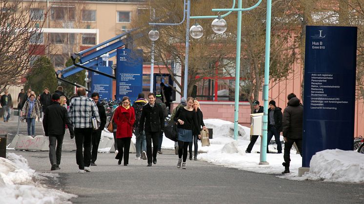 Civilingenjörsutbildningarna på LTU ökar kraftigt