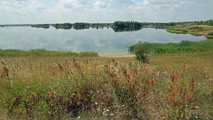 Werbeliner See im Leipziger Neuseenland