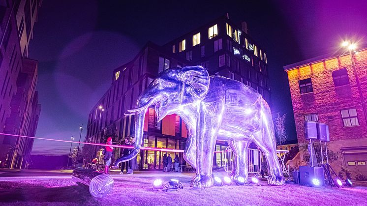 ​Fredag kveld ble det avduket en storslagen elefantskulptur på Elveplassen til glede for alle som er i og besøker Moss.