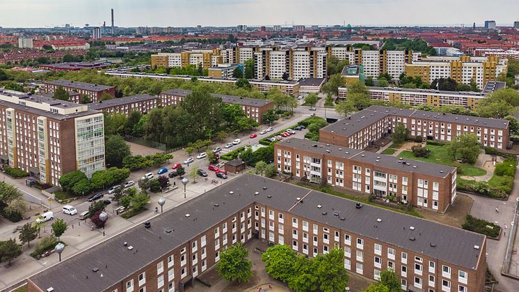 Örtagården med Törnrosens gula tegelbyggnader i bakgrunden. Foto: Joakim Lloyd Raboff