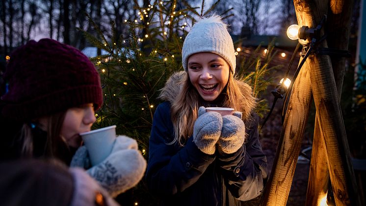 Förra årets succé kommer tillbaka, det blir Jul på Vallarna 19-20 november!