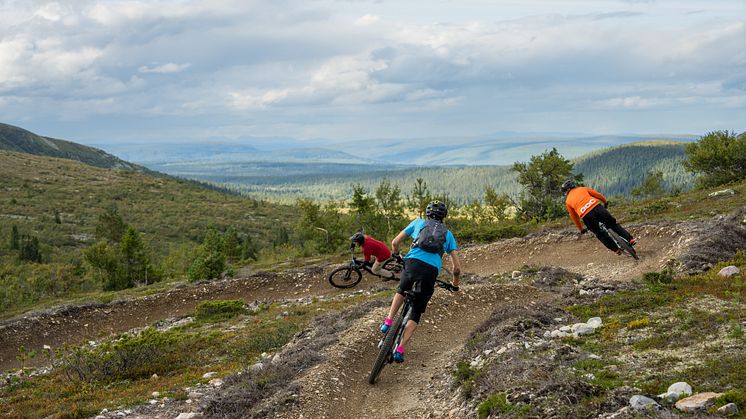 Cykling i Lofsdalens Fjällpark