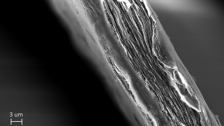 The sheet made of cellulose nanofibers in the mille-feuille filter. Image by Simon Gustafsson.