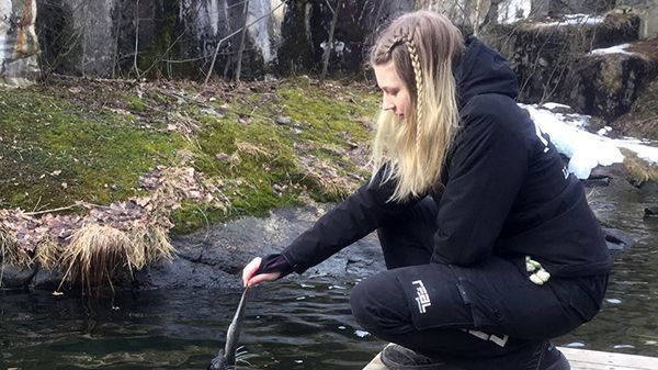 Lärling från Realgymnasiet i Stockholm på Skansen.