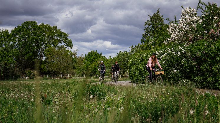 Raus auf´s Rad und den Frühling in Brandenburg genießen wie hier im Seenland Oder-Spree. Foto: TMB-Fotoarchiv/Madlen Krippendorf. 