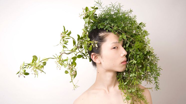 Japanska blomsterinstallationer i Botaniska trädgårdens sommarutställning.