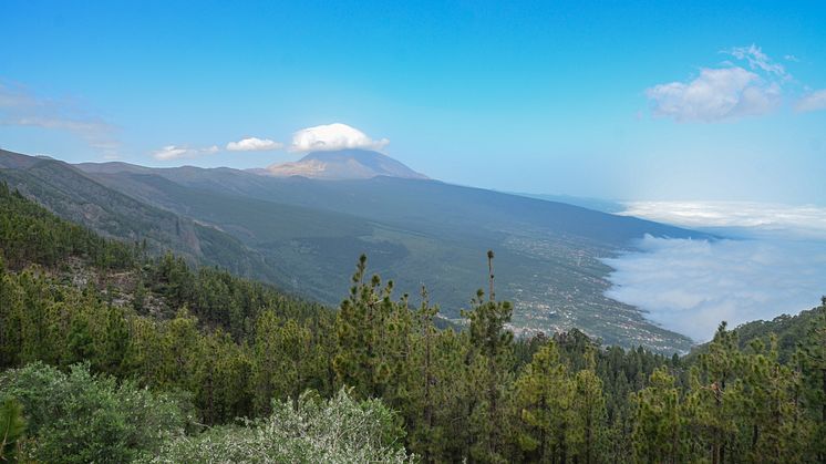 Mount Teide in Tenerife