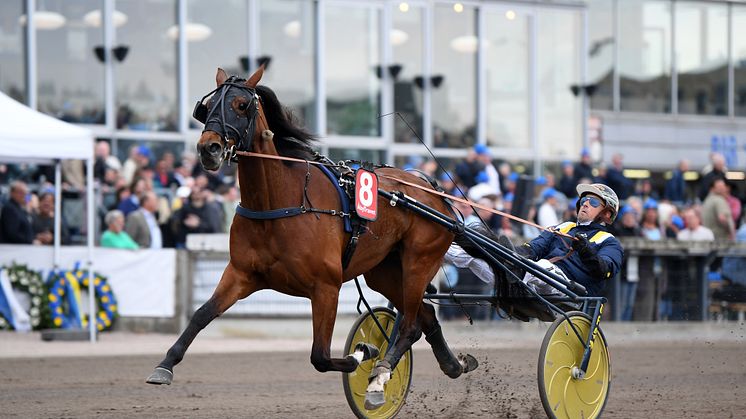 Decision Maker är den fjortonde hästen i Elitloppet 2024 och nu återstår två platser varav den ena går till segraren av H.K.H Prins Daniels lopp kl. 18.20 på Gävletravet i dag, lördag.