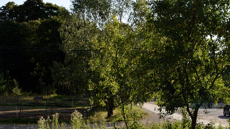 Ekologi och framtid: Järvafältet får nytt offentligt konstverk