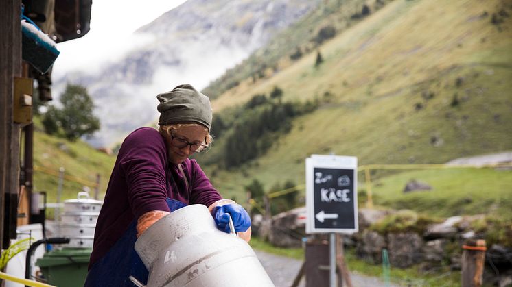 Alpkaese-Trail_Engelberg_Alp-Staefeli©Engelberg-Titlis-Tourismus
