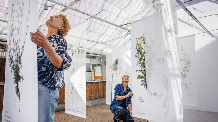 Anna Lind Lewin, Pollinera Sverige och fotografen Lena Granefelt. Foto: Linus Sundahl Djerf.