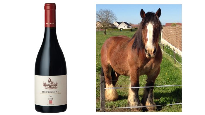 Ny årgång av Bourgogne Oka från Domaine Arlaud! 
