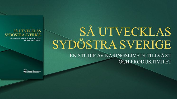 Ny rapport - Största analysen av näringslivet i Sydost någonsin 