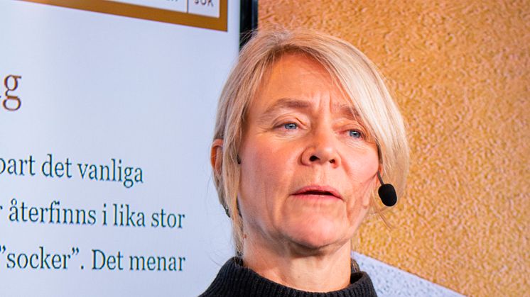 Elisabet Rytter, nutritionsansvarig på Livsmedelsföretagen, på Livsmedelsföretagens pressträff på temat mat och hälsa.