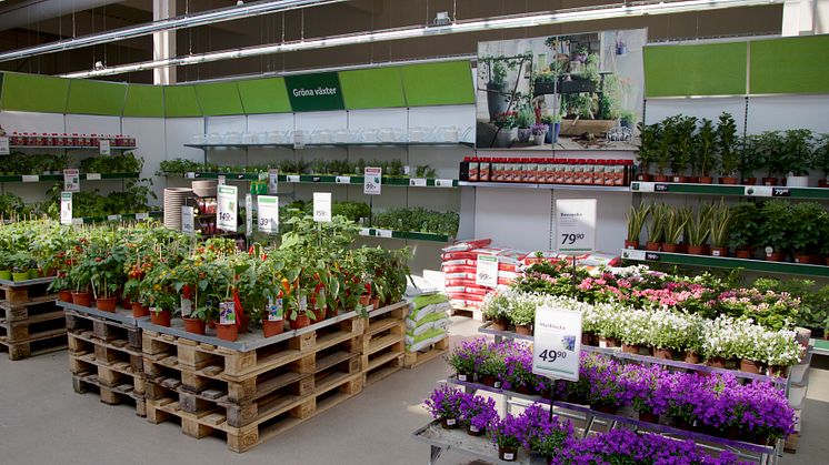 Blomsterlandet öppnar ny butik i Strängnäs