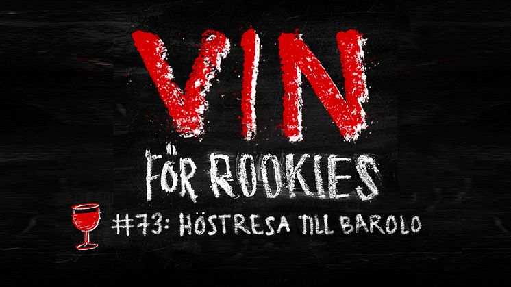 Vin för Rookies #73 - Höstresa till Barolo