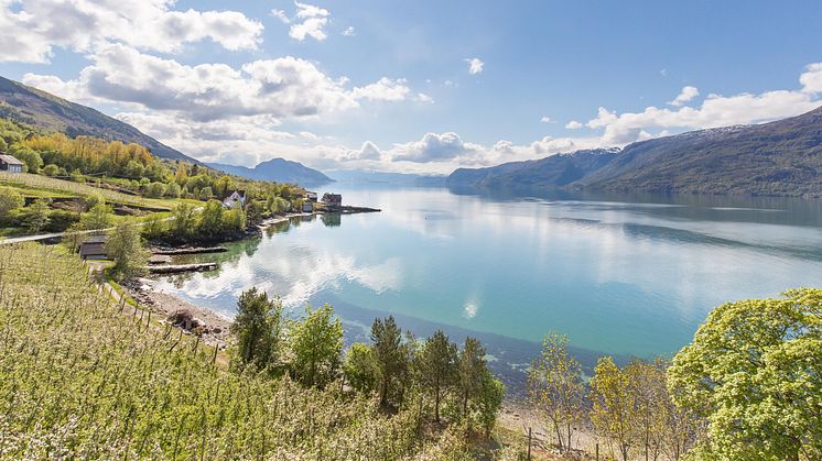 Bærekraftig fjordcruise på Sørfjorden starter opp 19. juni 2020. Foto: Haara