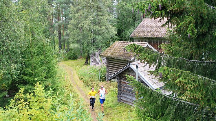 NYTT LOPP! Premiär för Trailvasan 30 och Vasaloppstrippeln 30 2020