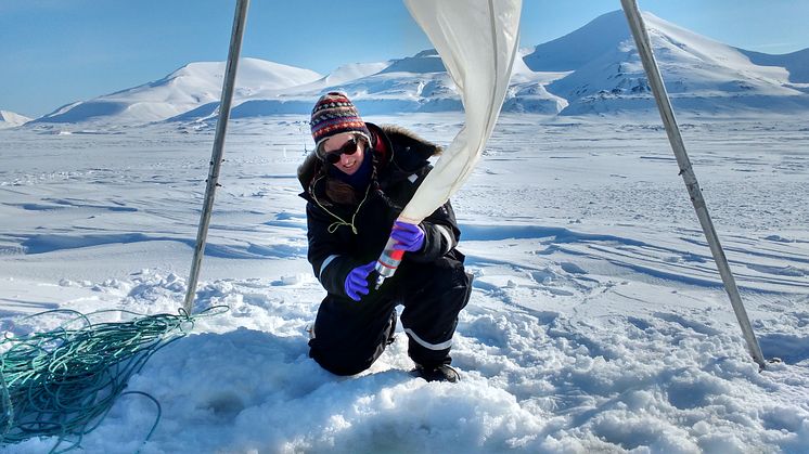 Eva Leu APN hov for prøver av planteplankton under isen