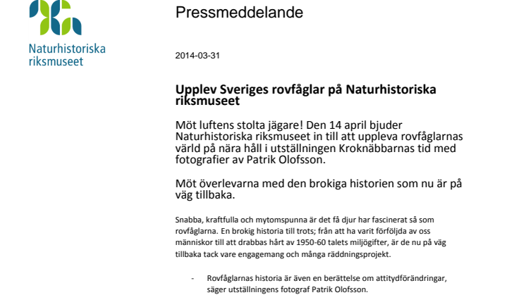 Upplev Sveriges rovfåglar på Naturhistoriska riksmuseet