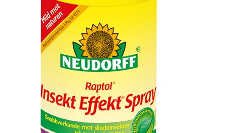 Raptol Insekt Effekt Spray 400ml_Neudorff