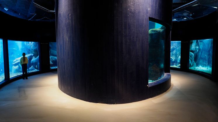 Nya akvarier på Havets Hus, foto: Roger Jansson / Havets Hus