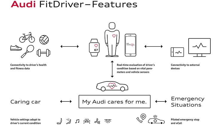 Audi FitDriver - Features