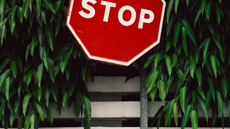 Foto: Unsplash
