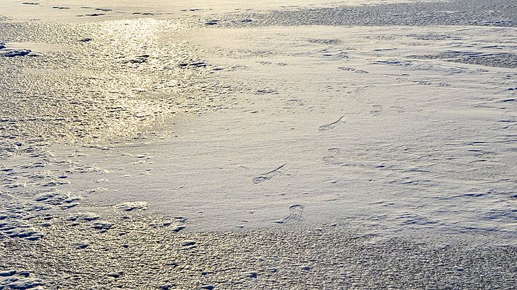 Genrebild på en isig sjö. Foto: Mostphotos