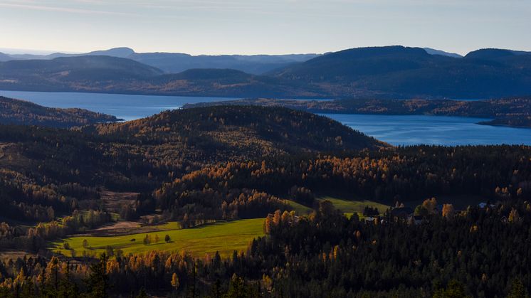 Vårt arv skapades för 10 000 år sedan.  Vi ser till att det håller i minst 10 000 till.