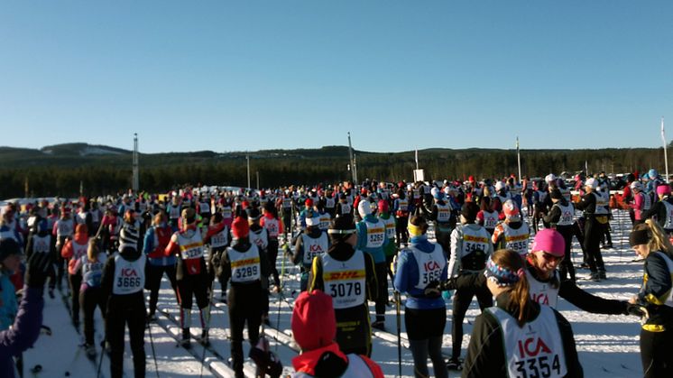 Vasaloppstarten. Foto: Elin Påhlsson.