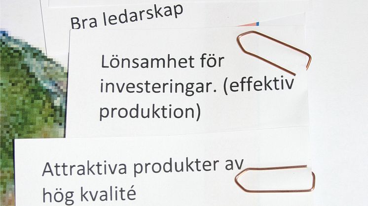 Polarbröds Utstickarpris till bra ledare för hela världen