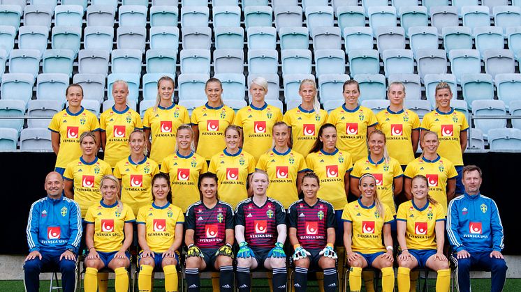 Svenska damlandslaget i fotboll 2018-2019