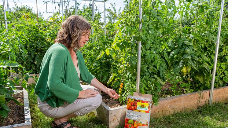 BIOlogische Vollwertkost für Tomaten, Gurken, Paprika, Zucchini und Kürbis: Azet TomatenDünger von Neudorff 