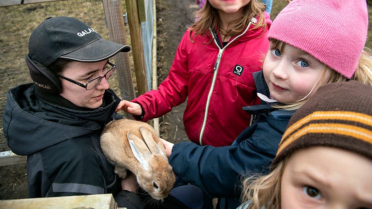 Galaxens djurvårdare Rebecca visar kursdeltagarna Alin, Tilde och Nils hur man ska bära en kanin.