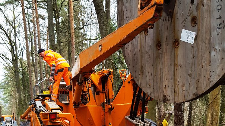 Das neue Stromkabel zwischen Rüdenau und Mainbullau ist über weite Strecken mit einem Pflug schonend unter die Erde gebracht worden.