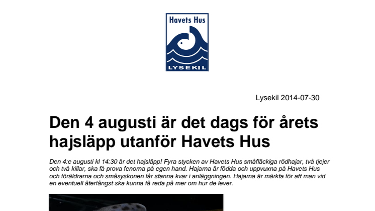 Den 4 augusti är det dags för årets hajsläpp utanför Havets Hus 