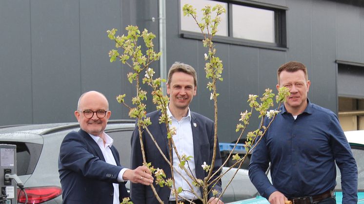 Geschäftsführer Andreas Speith, Bürgermeister Clemens Pommerening und Betriebsstellenleiter Heiko Hoppe pflanzen einen Obstbaum zur Eröffnung der neuen Betriebsstelle in Lauenstein (v. l.)