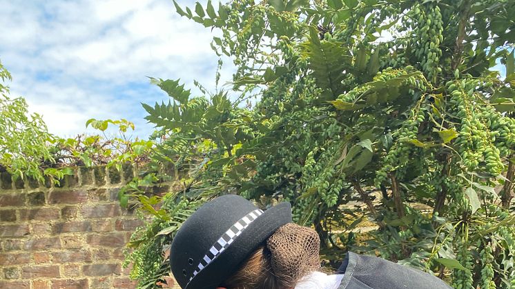 Officer during weapons sweep.JPG