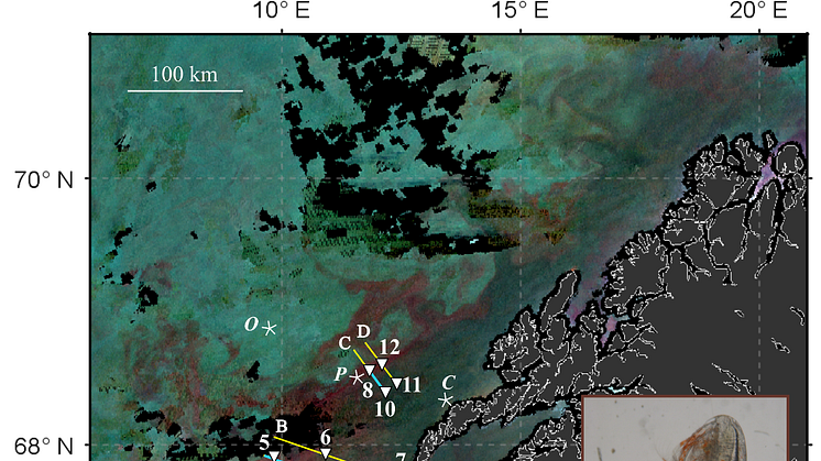 Supersvermer av raudåte våren 2018 (Satelittbilde ved NEODAAS)