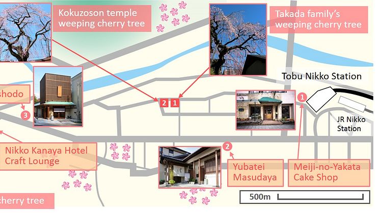Nikko Cherry Tree MAP