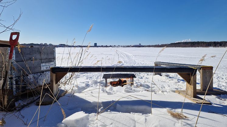 Ön Grytan ligger intill isbanan på Nördfjärden i centrala Piteå. Inför påskhelgen finns ved och sittbänkar utställda på ön. Foto: Per Ljus