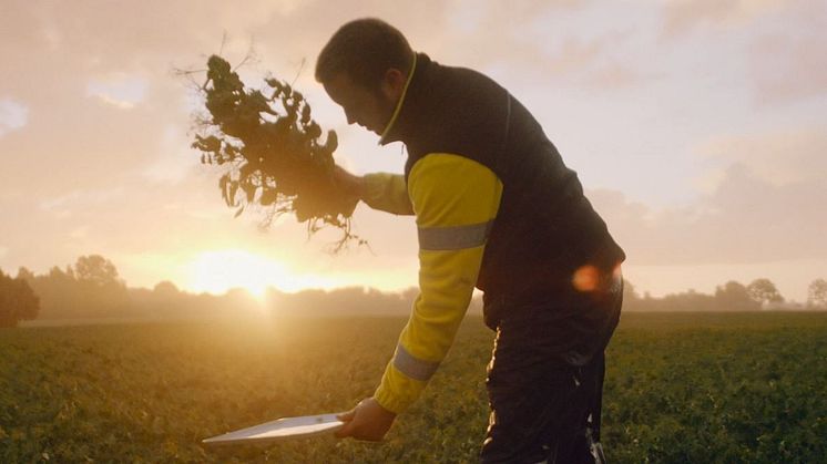 Svenskt Sigills uppdaterade Klimatcertifiering bidrar till minskat klimatavtryck för Findus ärtodling