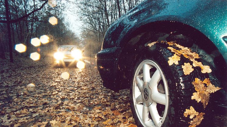 Herbst-Check fürs Auto sinnvoll