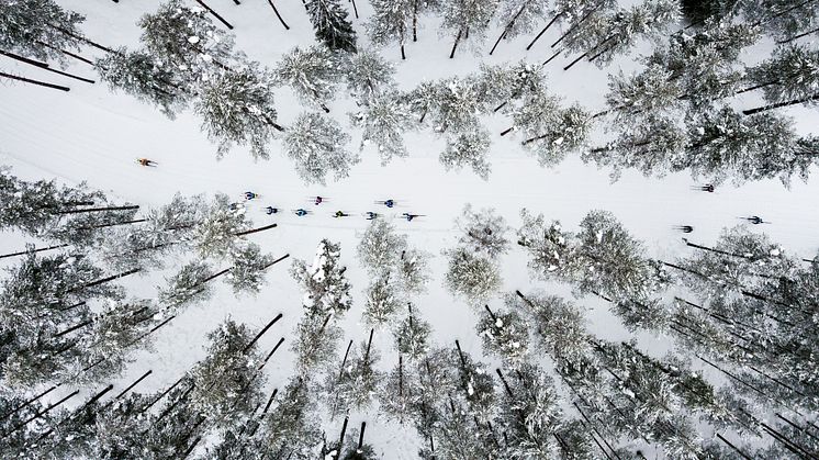 Inbjudan media: Välkommen att bevaka Vasaloppets vintervecka 2024