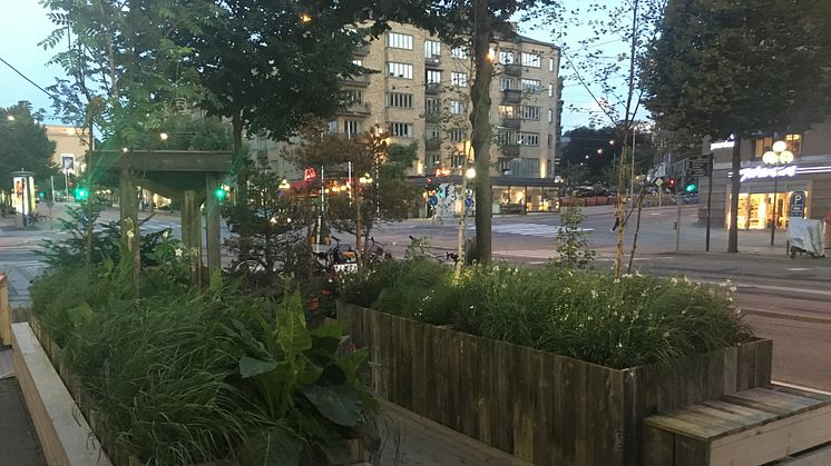 Så här såg Umeå kommuns popup-park ut på plats på Avenyn i Göteborg tidigare i sommar.