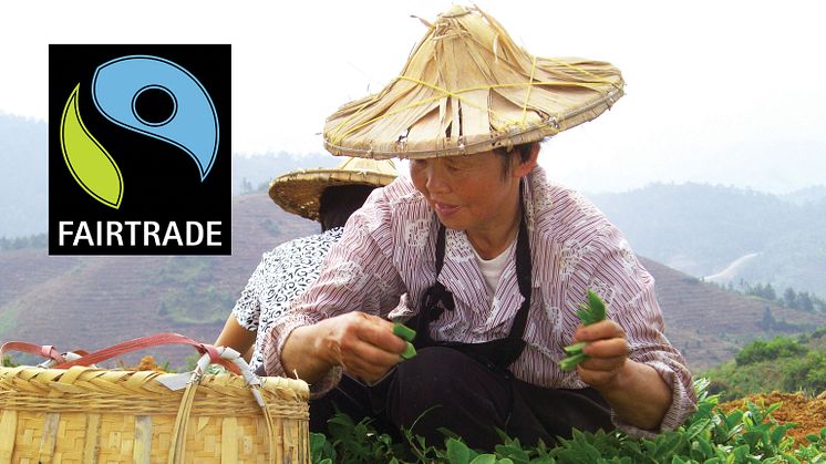 Sodexo serverar 11 miljoner koppar Fairtrade-kaffe 