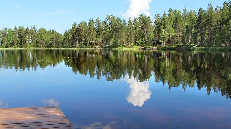 Bilden visar inte Kungsgårdsholmarna, utan är ett exempel på ett område som berörs av strandskydd. Foto: Mostphotos.